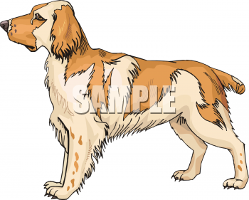 Dog Clipart