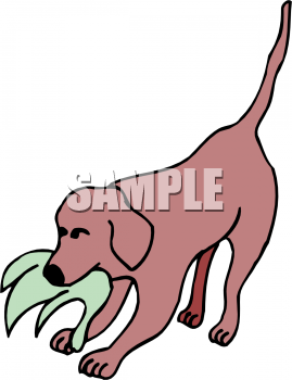 Pet Clipart