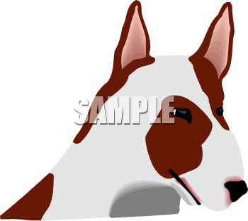 Pet Clipart