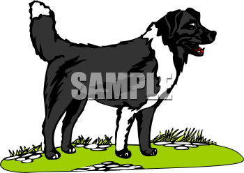 Dog Clipart
