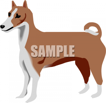 Pet Clipart