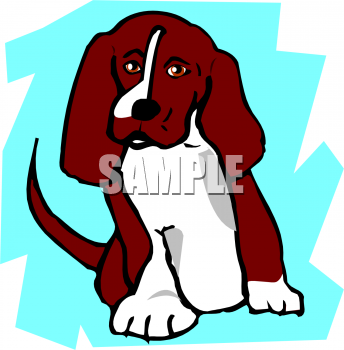 Pet Clipart