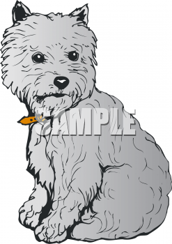 Pet Clipart