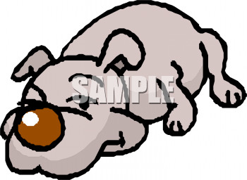 Pet Clipart