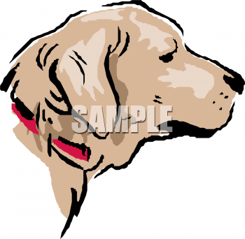 Pet Clipart