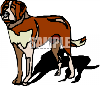 Pet Clipart