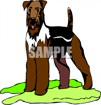 Pet Clipart