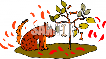 Pet Clipart