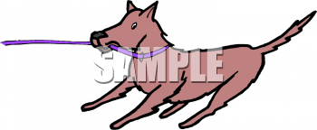 Pet Clipart