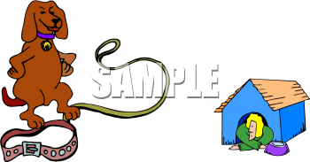 Pet Clipart