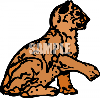 Pet Clipart