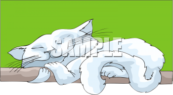 Pet Clipart