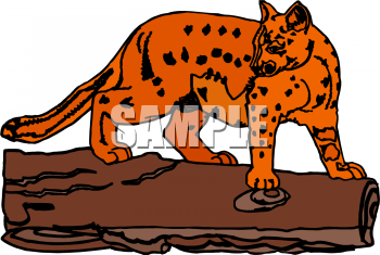 Big Cat Clipart