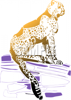 Big Cat Clipart