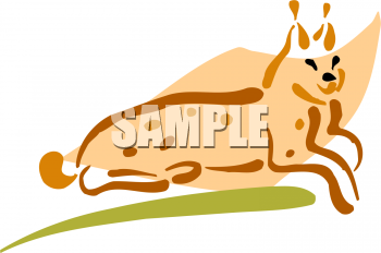 Pet Clipart