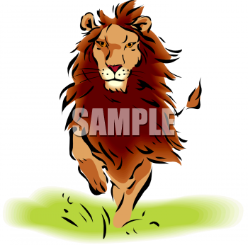 Pet Clipart