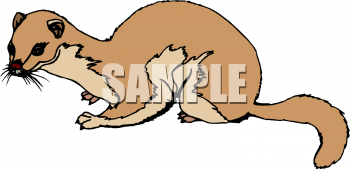 Animal Clipart