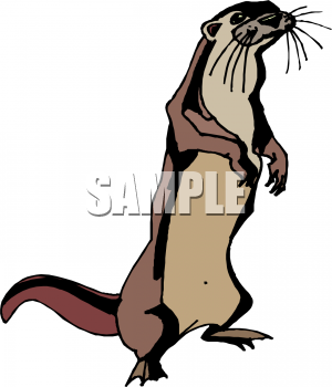 Animal Clipart