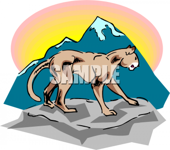 Big Cat Clipart
