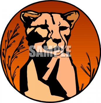 Big Cat Clipart