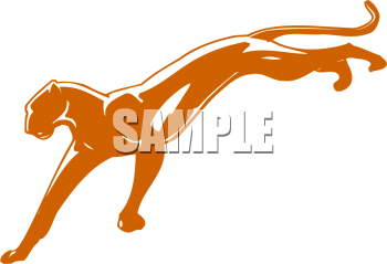 Pet Clipart