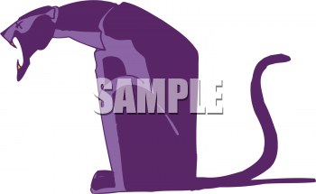 Pet Clipart