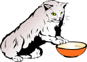 Pet Clipart