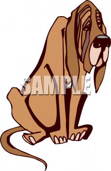 Pet Clipart