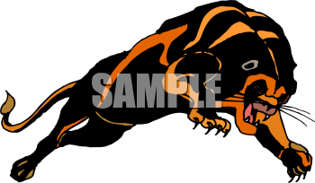 Big Cat Clipart