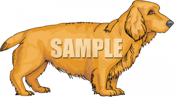 Pet Clipart