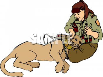 Pet Clipart