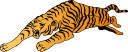 Big Cat Clipart