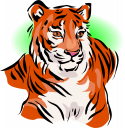 Big Cat Clipart