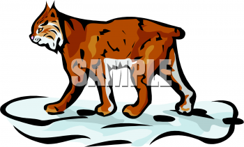 Pet Clipart