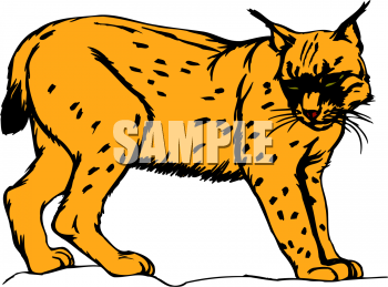 Big Cat Clipart