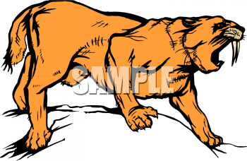 Pet Clipart