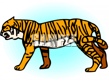 Pet Clipart