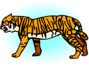 Big Cat Clipart