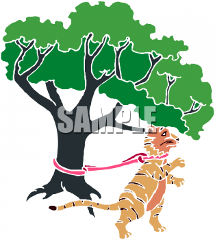 Big Cat Clipart