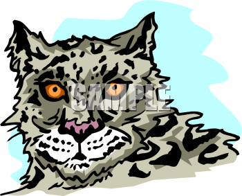 Pet Clipart