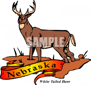 Deer Clipart