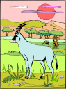 Animal Clipart