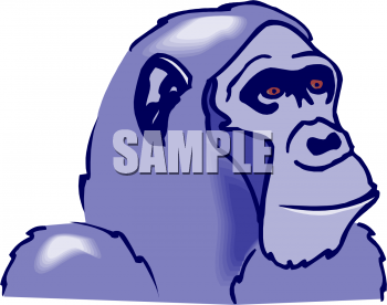 Primate Clipart