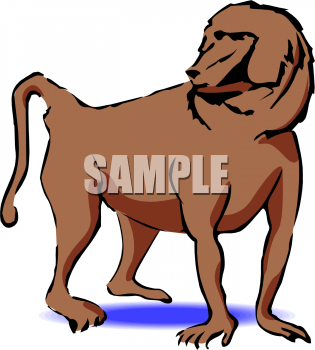 Primate Clipart