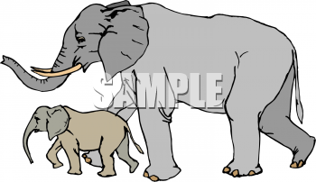 Mammal Clipart