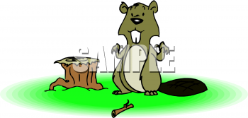 Rodent Clipart