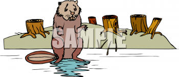 Rodent Clipart