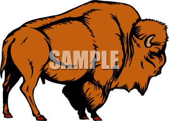 Buffalo Clipart