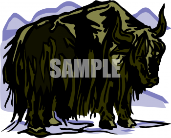 Buffalo Clipart