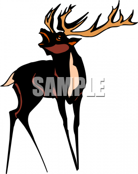 Deer Clipart